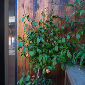 美築八坂 Homestay