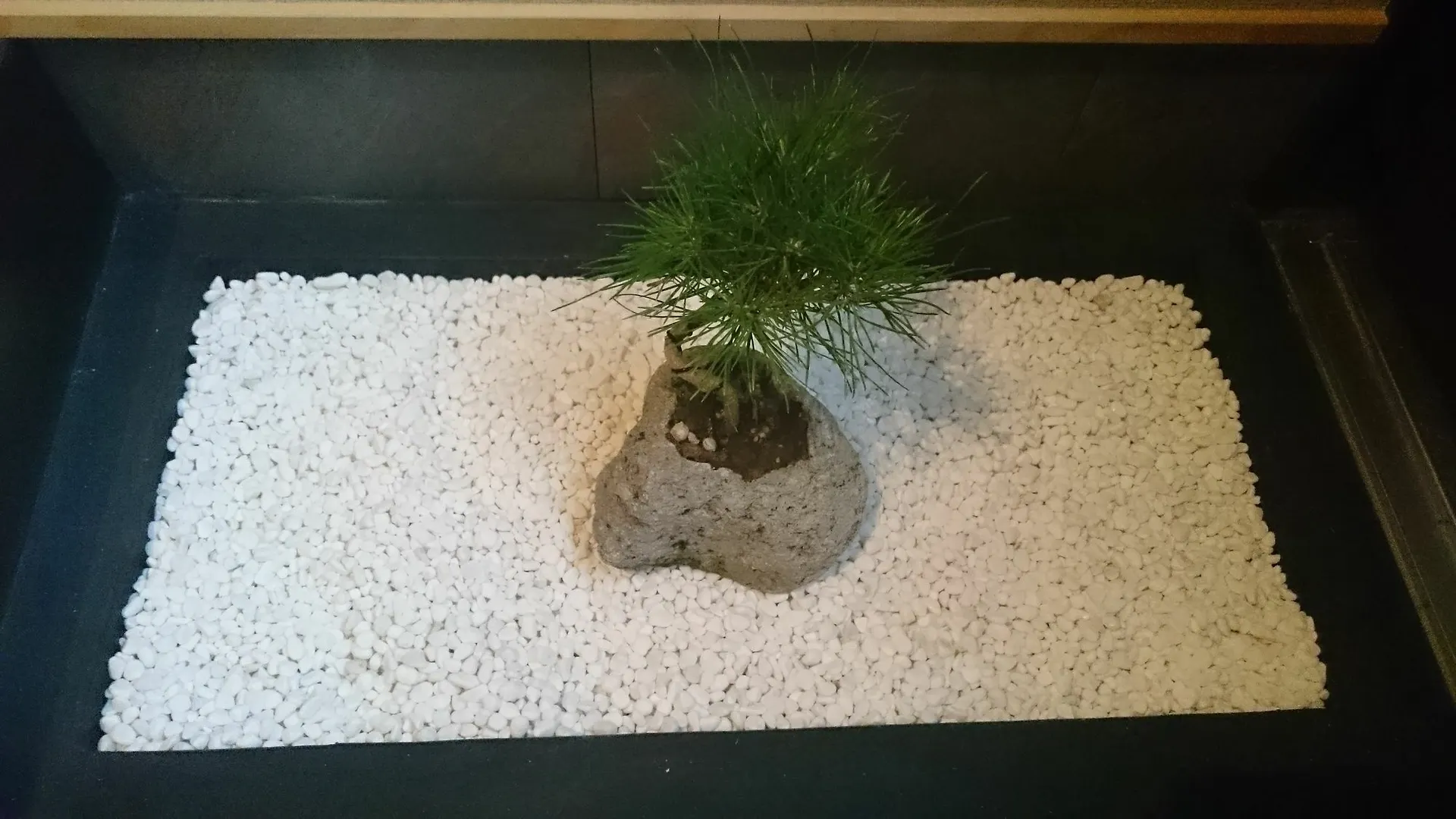 Kanesuke Kyoto Holiday home 0*,